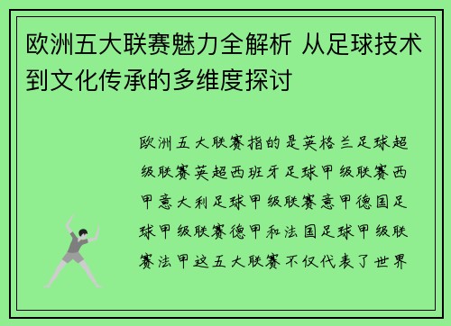 欧洲五大联赛魅力全解析 从足球技术到文化传承的多维度探讨