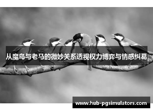 从魔鸟与老马的微妙关系透视权力博弈与情感纠葛 从魔鸟与老马的微妙关系透视权力博弈与情感纠葛