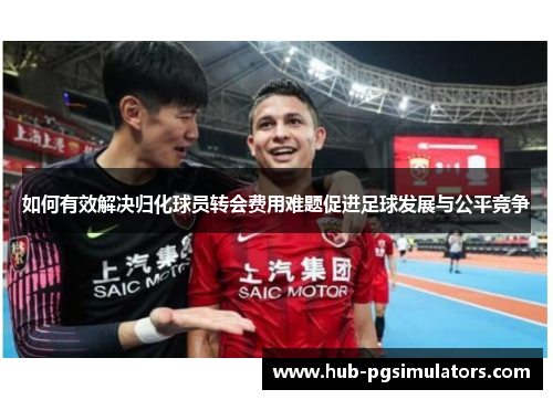 如何有效解决归化球员转会费用难题促进足球发展与公平竞争
