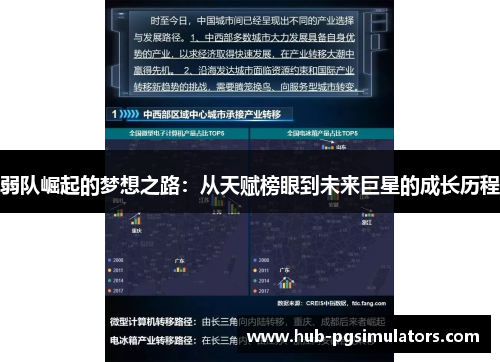 弱队崛起的梦想之路：从天赋榜眼到未来巨星的成长历程