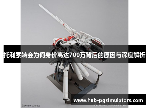 托利索转会为何身价高达700万背后的原因与深度解析