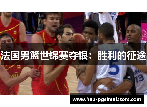 法国男篮世锦赛夺银：胜利的征途
